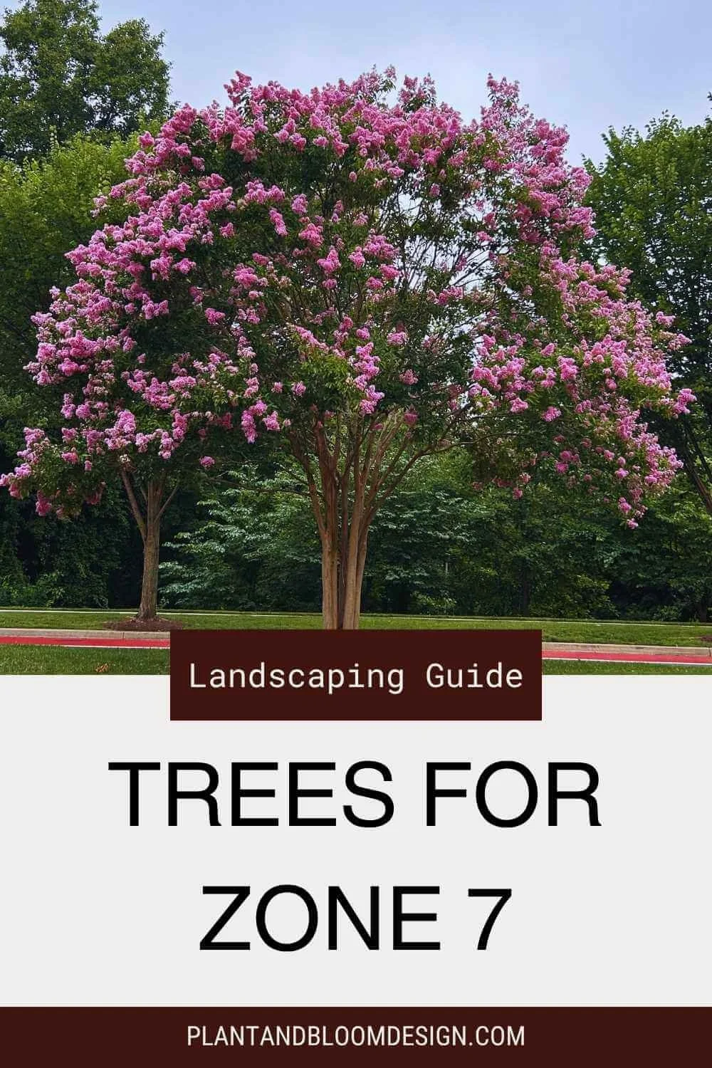 The Best Trees for Zone 7 — Plant and Bloom Design Studio